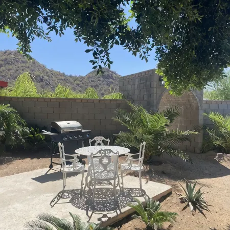 Private 2.5-Acre Retreat with Lush Palms, Pool, Play Train & Tortoises