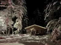 Escape to your own cabin with a private dock on the Petenwell Flowage. - Chalets