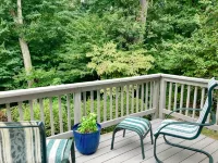 Wooded Hillside Retreat in Waldorf, MD - Top 10% and Guest favorite elsewhere