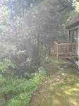 Dorset Summer Festival House - Secluded Location 15 minutes to Festival - Wifi