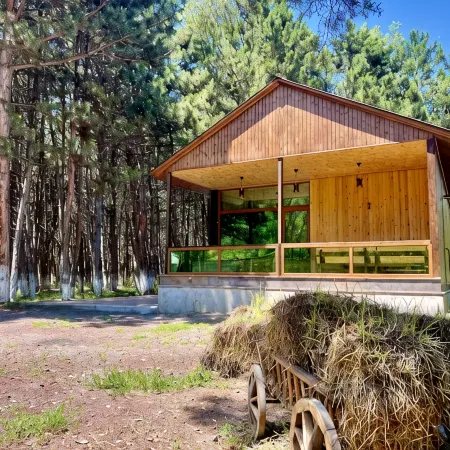 Milenium Villa Ξενοδοχεία στην πόλη Sevan