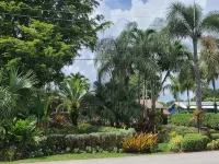 Pet Friendly Tropical Studio with Private Kitchen and Bath Hotels in Oakland Park
