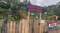 Josh’s Campton Cottage by the Pemi River in the White Mountains! - Wifi