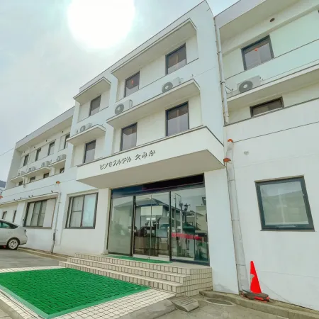 Business Hotel Omika Отели в г. Хитати