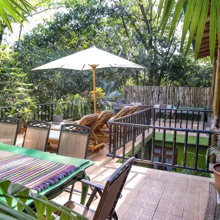 Roof Top Deck with Huge Views, 3 Pools, Chef Included, Game Room, Monkeys