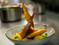 Logis - Hôtel Restaurant du Canard - Kæledyr tilladt