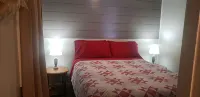 Clean cottage on the Eagle River Chain, dock, firewood, edge of town - 무료 와이파이