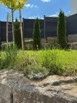 Quiet vacation apartment right by the forest - 公寓