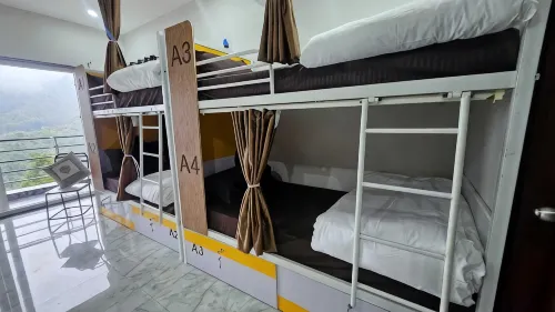 Camel S Backpackers Hostel