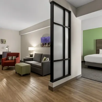 Comfort Suites Charleston West Ashley Hotels near Buzzards Roost Marina
