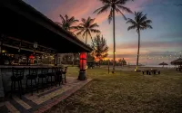 Palm Beach Resort & Spa - bar