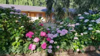 Moruya Motel - parking
