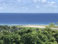 寬敞家庭寧靜山坡地段度假屋，享有太平洋景觀