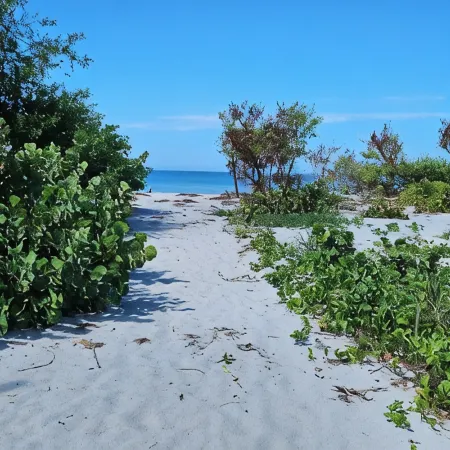 Little Gasparilla Island a 2-bedroom cottage wth WiFi and AC on a private island