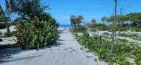 Little Gasparilla Island a 2-bedroom cottage wth WiFi and AC on a private island - 부티크