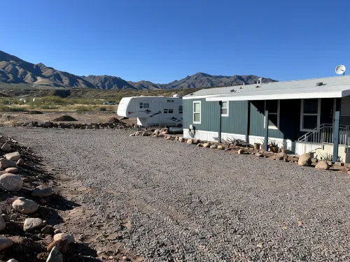 The Eagle Perched at Roosevelt Lake - 3-Star