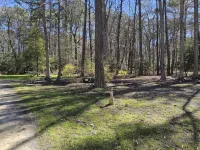 Woodland Retreat on Kent Island: 5 beds, 5 miles from Bay Bridge, on 5 acres. - Homestays