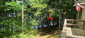 Lakefront Home w/Fireplace near Lk George. Dog-friendly! Telecommuters welcome!