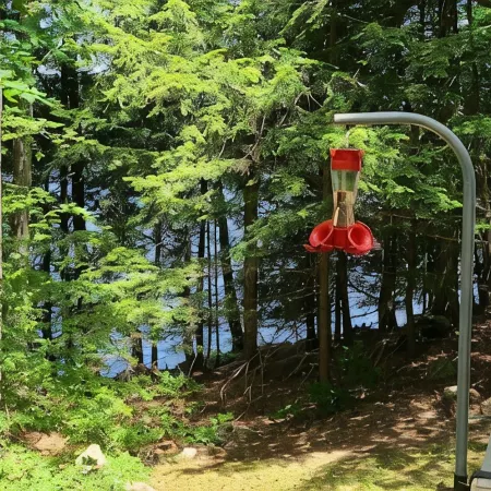 Lakefront Home w/Fireplace near Lk George. Dog-friendly! Telecommuters welcome!