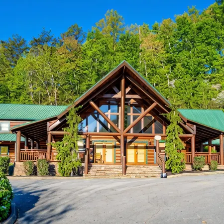 Swim Spa Pool - Hot Tub - Theater & Game Room - 5 Mins to Pigeon Forge