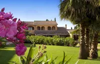 Tranquil Lantana Resort Hotel & Apartments 1 Bedroom Room Apartment Sleeps 5 - Homestays