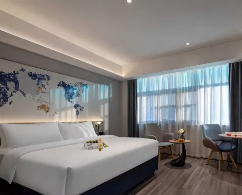 Lanting Hotel (Liaocheng Wanda Plaza Branch) - Wifi