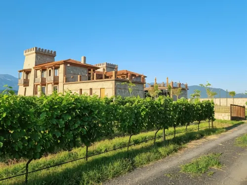 Château Davitiani - Bãi đậu xe