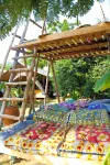 Distant Relatives Ecolodge & Backpackers - 3-Star