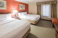 The Elms Hotel - Wifi