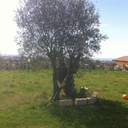 La Dimora dei 5 Sensi