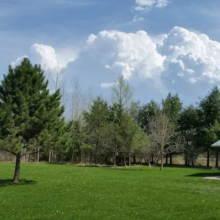 Quiet 3 Acres On DNR Fishing Lake With 200' Of Shoreline Just Outside Longville