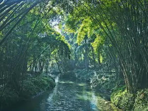 成都5大靚景酒店