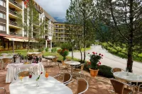 The Glacier Hotel - ex Eurotel Victoria - Hotels in Ormont-Dessus