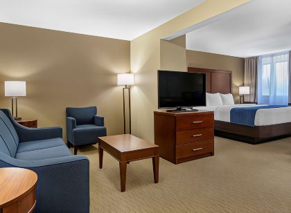 Comfort Inn Near Greenfield Village