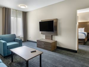 Comfort Inn & Suites Troutville - Roanoke North / Daleville