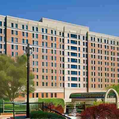 Augusta Marriott at the Convention Center Hotel Exterior