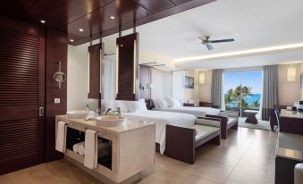 Barcelo Bavaro Palace All Inclusive