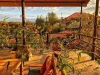 Varga Kvareli Hotels in 