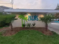 Palms Motel （棕櫚汽車旅館）