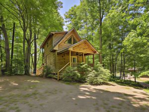 Cozy Whittier Cabin and Yard and Hot Tub, Pets Welcome