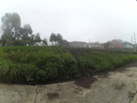 Villa Wijayanti Bromo