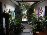 The Icebear Guesthouse - Pet friendly