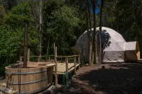 Cabañas Ensenada Bosque Nativo