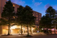 Sheraton Metairie - New Orleans Hotel Hotels in Metairie