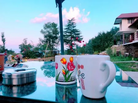 BN Resort Отели в г. Питхорагарх