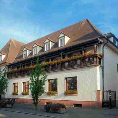 Au Nid de Cigognes Hotel Exterior