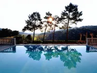 Hotel Villa Casanova Hotels in Massaciuccoli
