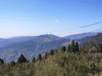 Mamta Homestay
