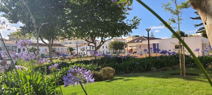 Ó da Casa-Typical Portuguese Guest House Hotels in Peniche