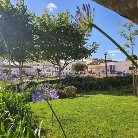 Ó da Casa-Typical Portuguese Guest House